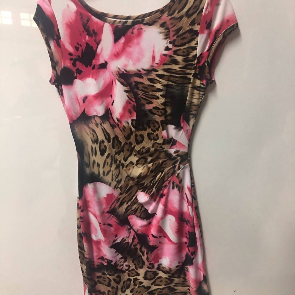 Cache Dress, Sleeveless